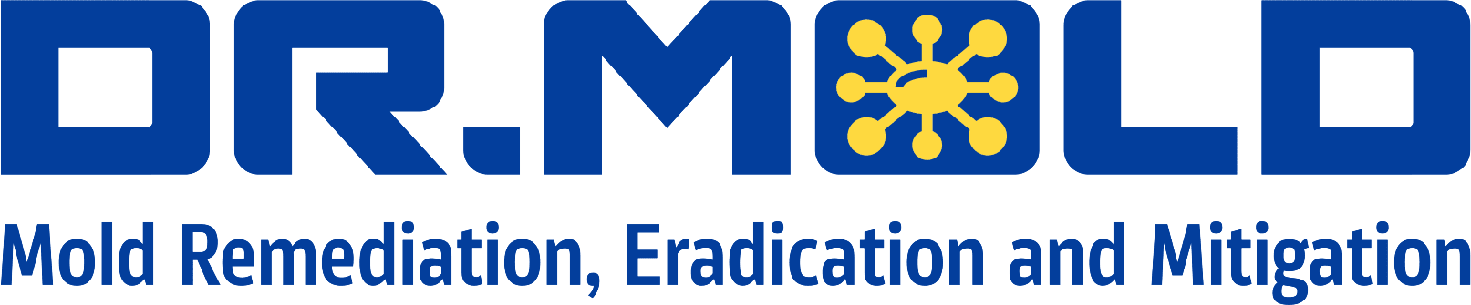 Dr. Mold Logo