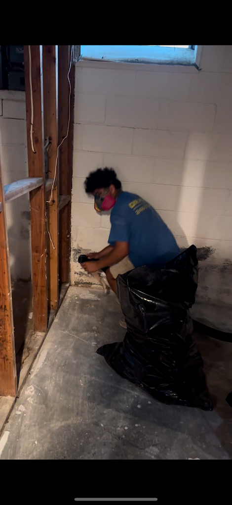 Disaster recovery and restoration service in Southeast Michigan property after water and moisture damage