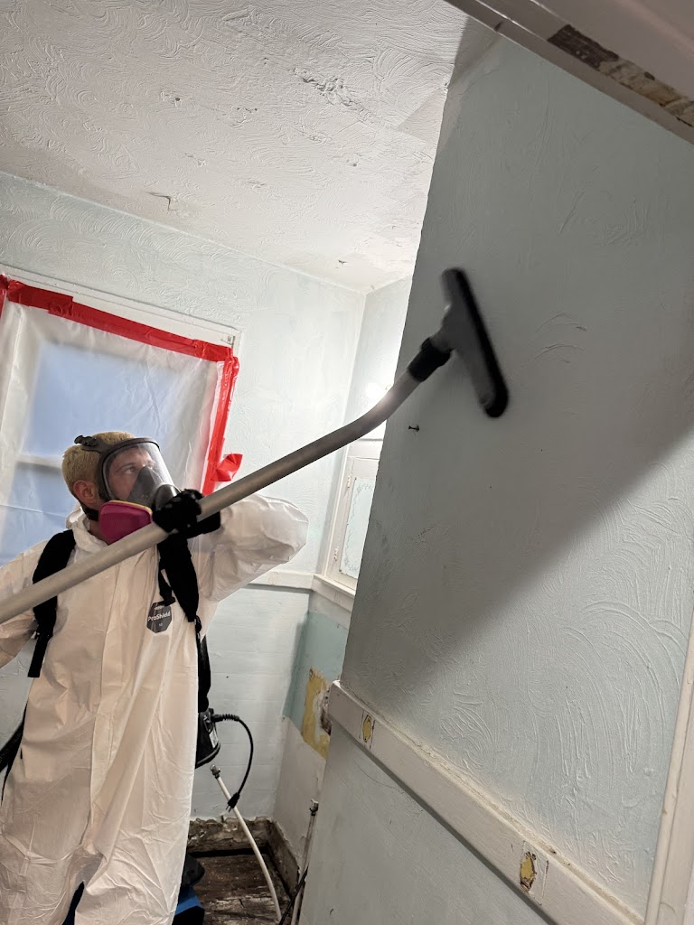 Mold cleanup service in Metro Detroit