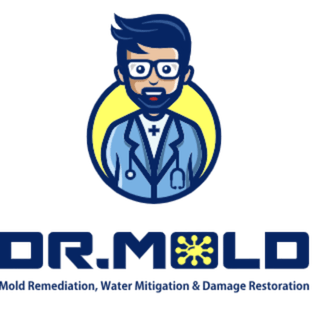 Dr. Mold