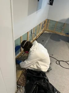 Mold Inspection
