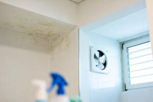 Mold Odor Removal