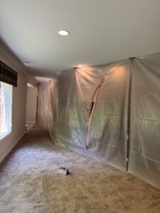Mold Removal Process