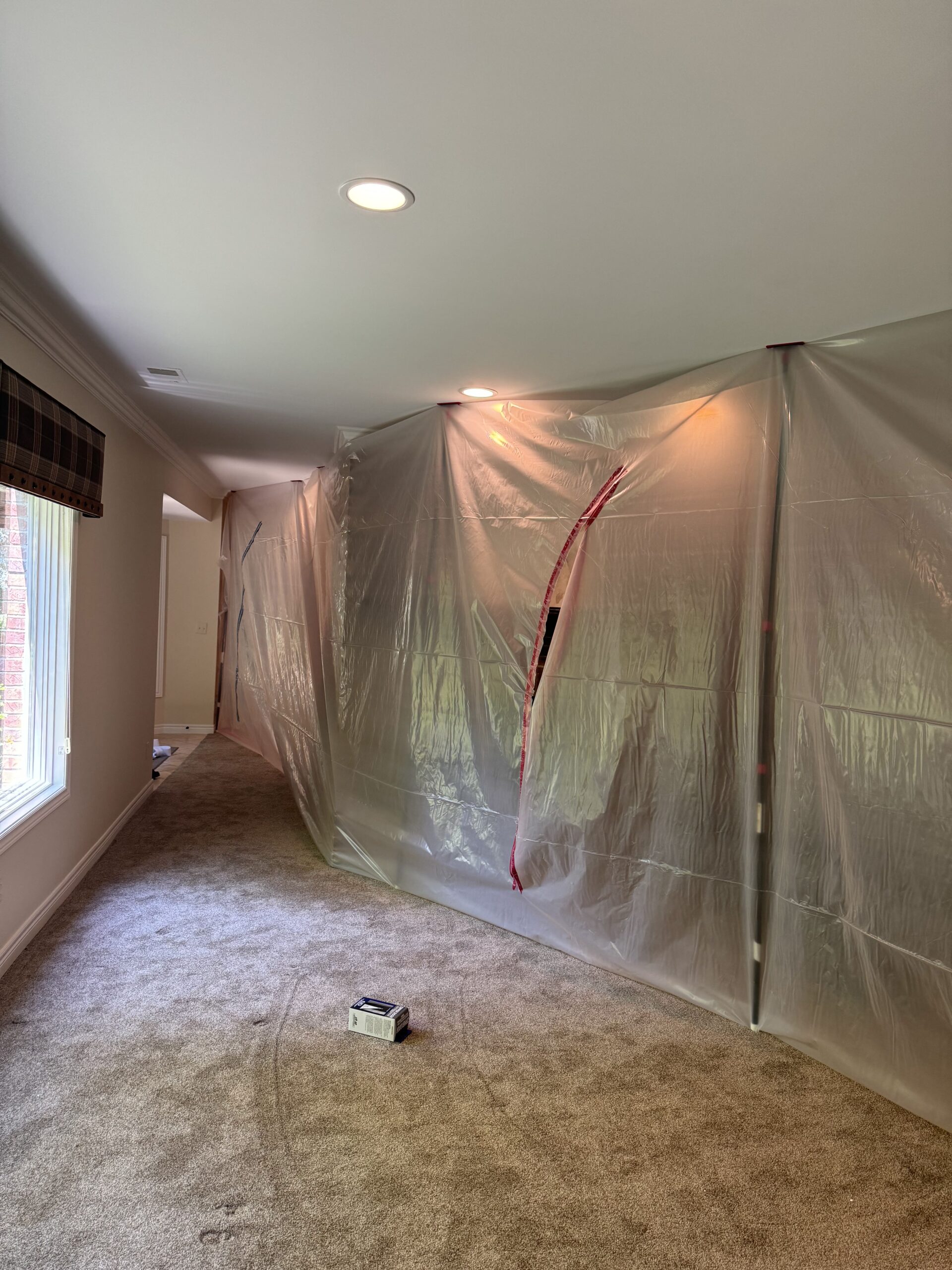 Mold mitigation vs remediation process