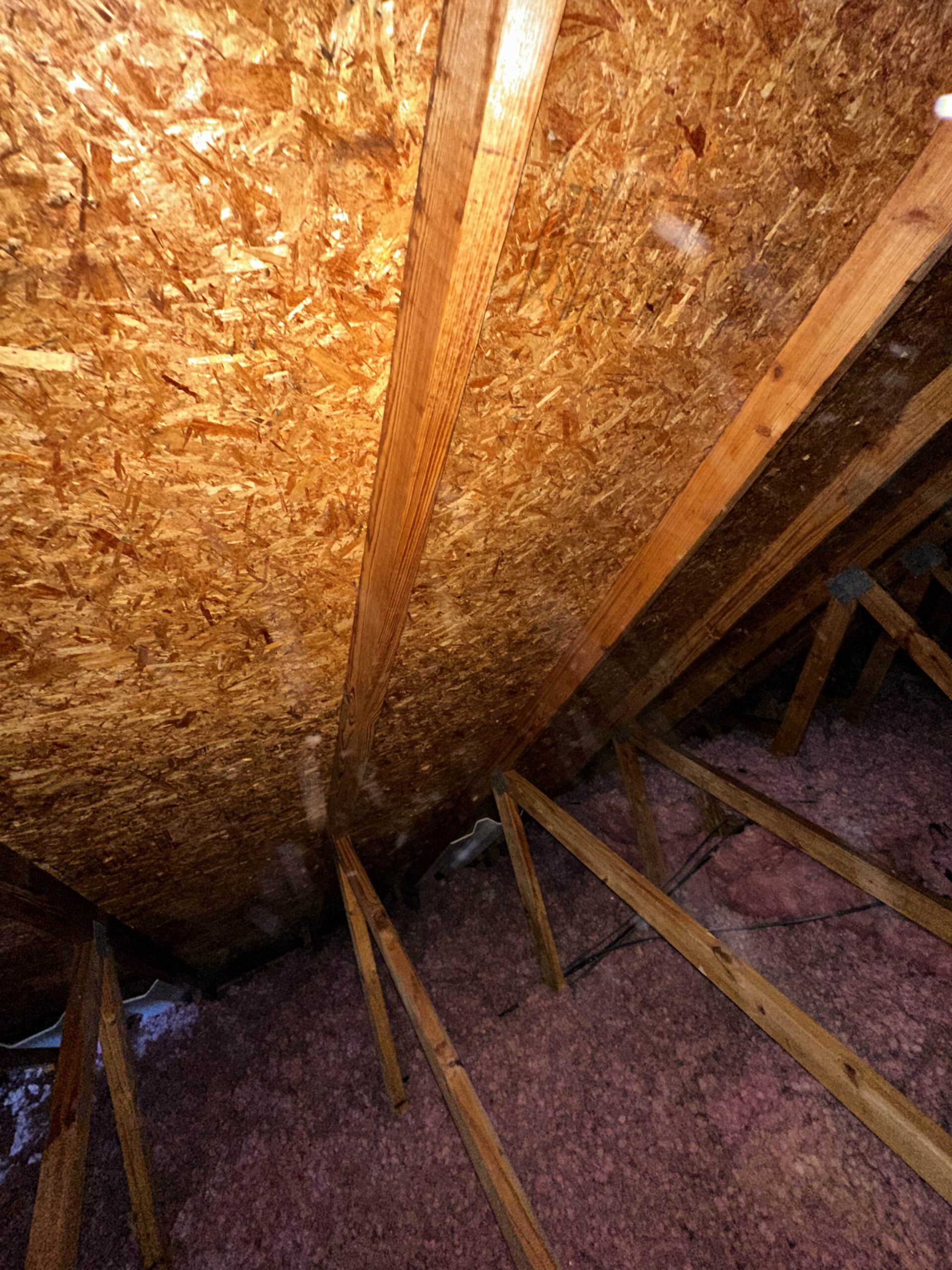 Mold After scaled