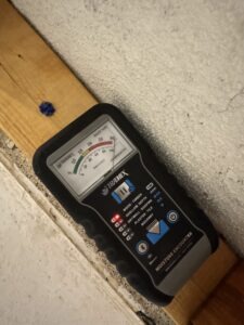 Mold Testing Near Me