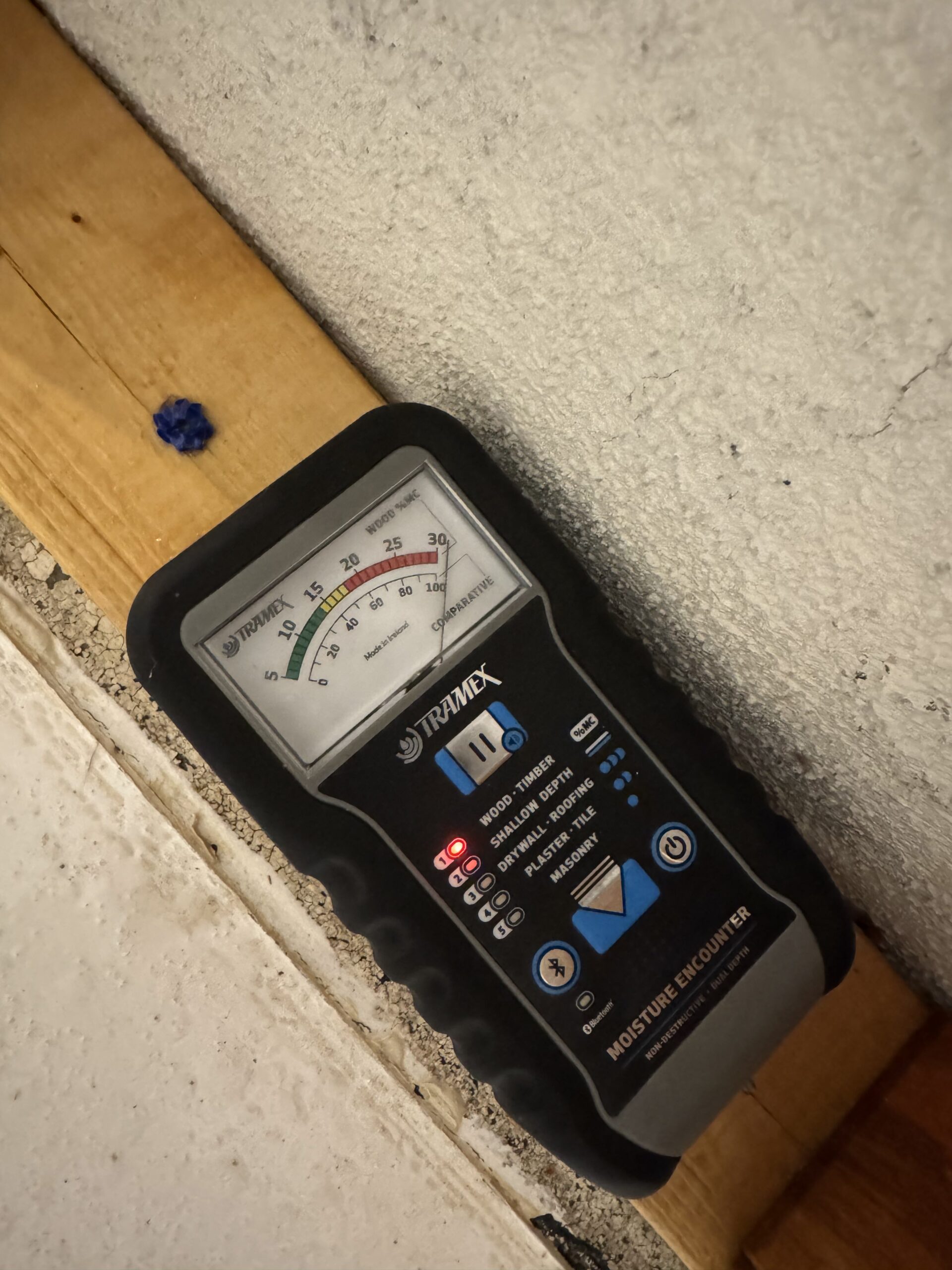 Mold inspection service