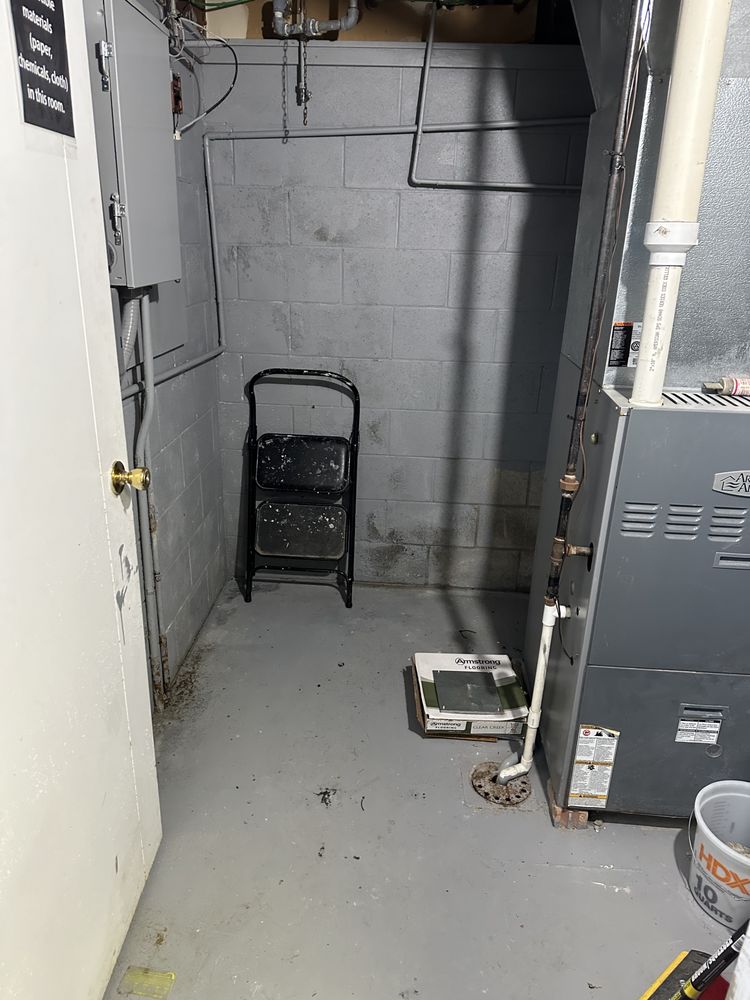 Musty smell or visible mold