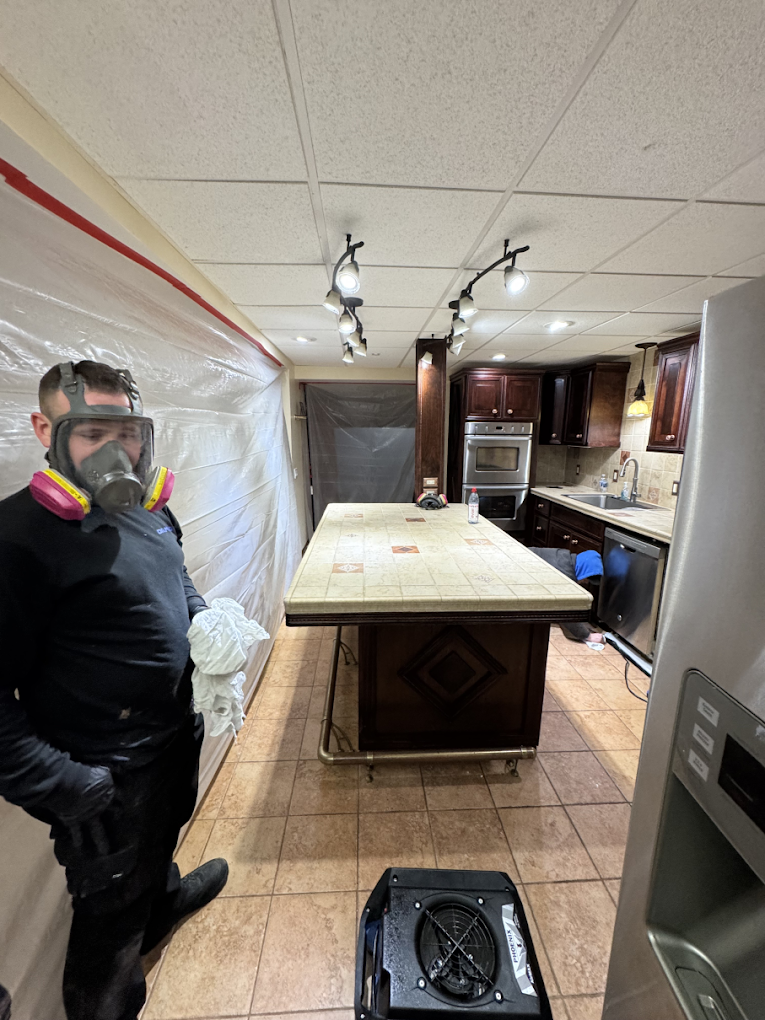 Professional mold swab and tape lift surface testing in Southeast Michigan
