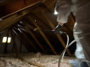 Attic Mold Cleaning