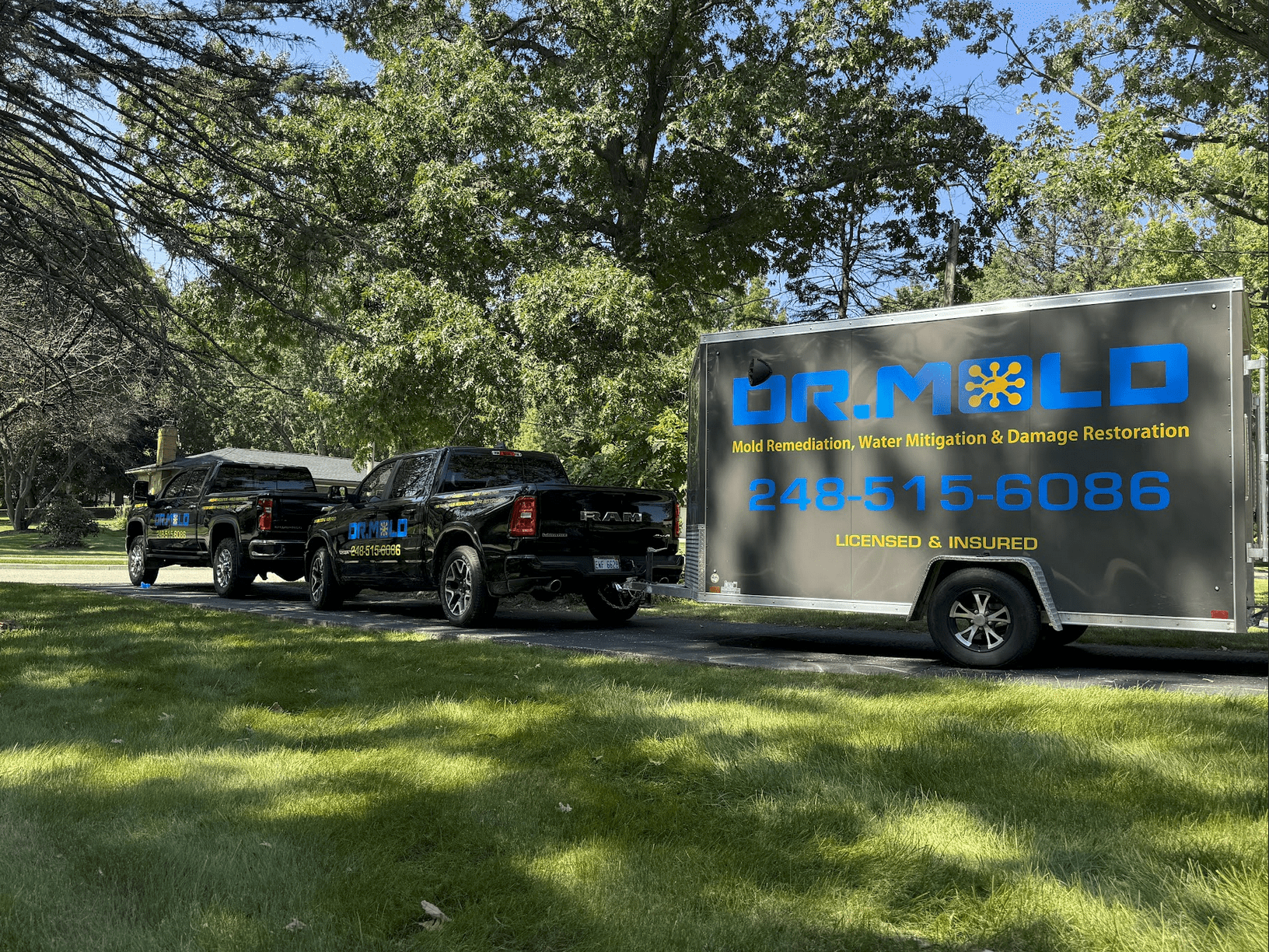 Dr. Mold service image