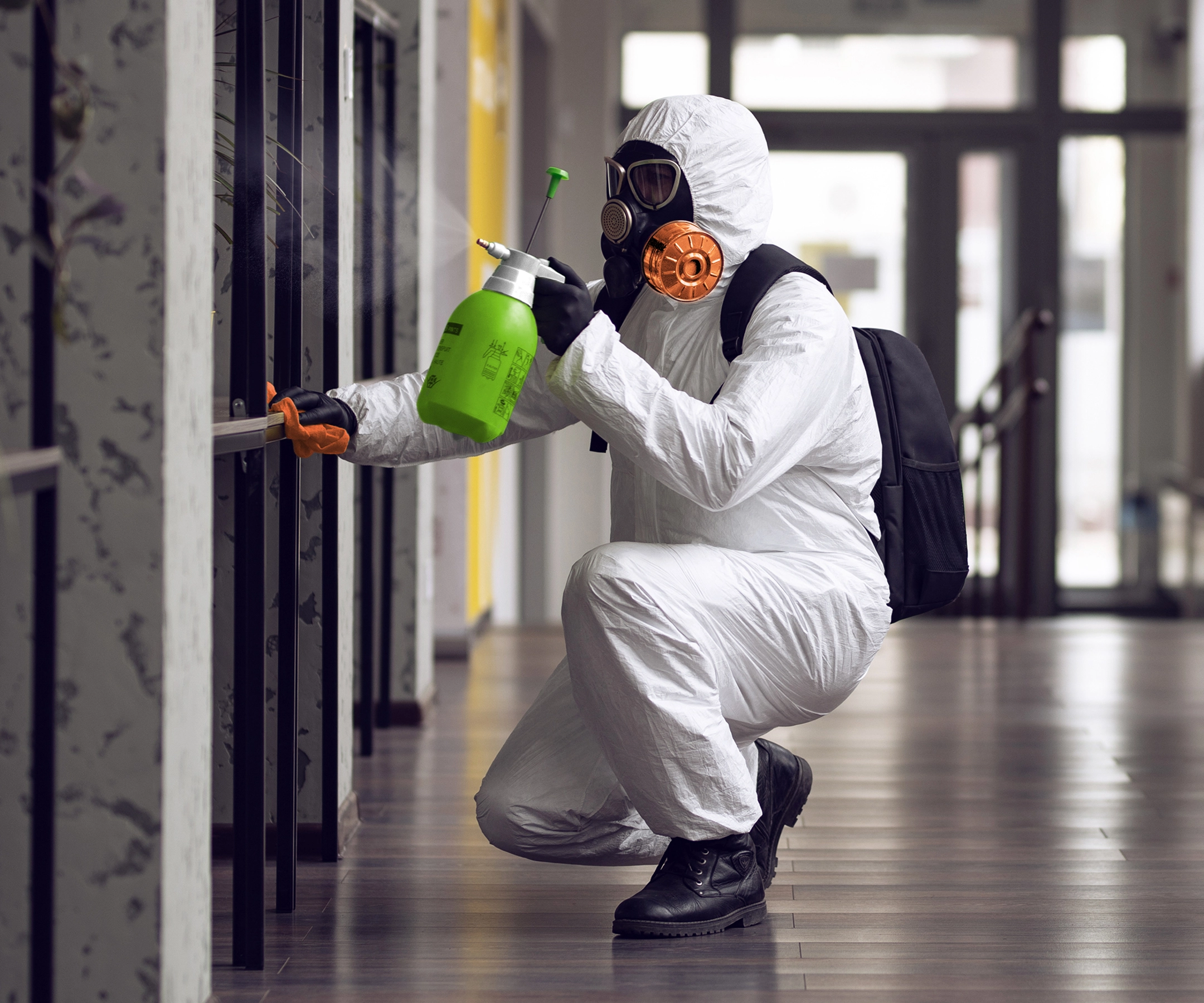 Mold mitigation service in Metro Detroit