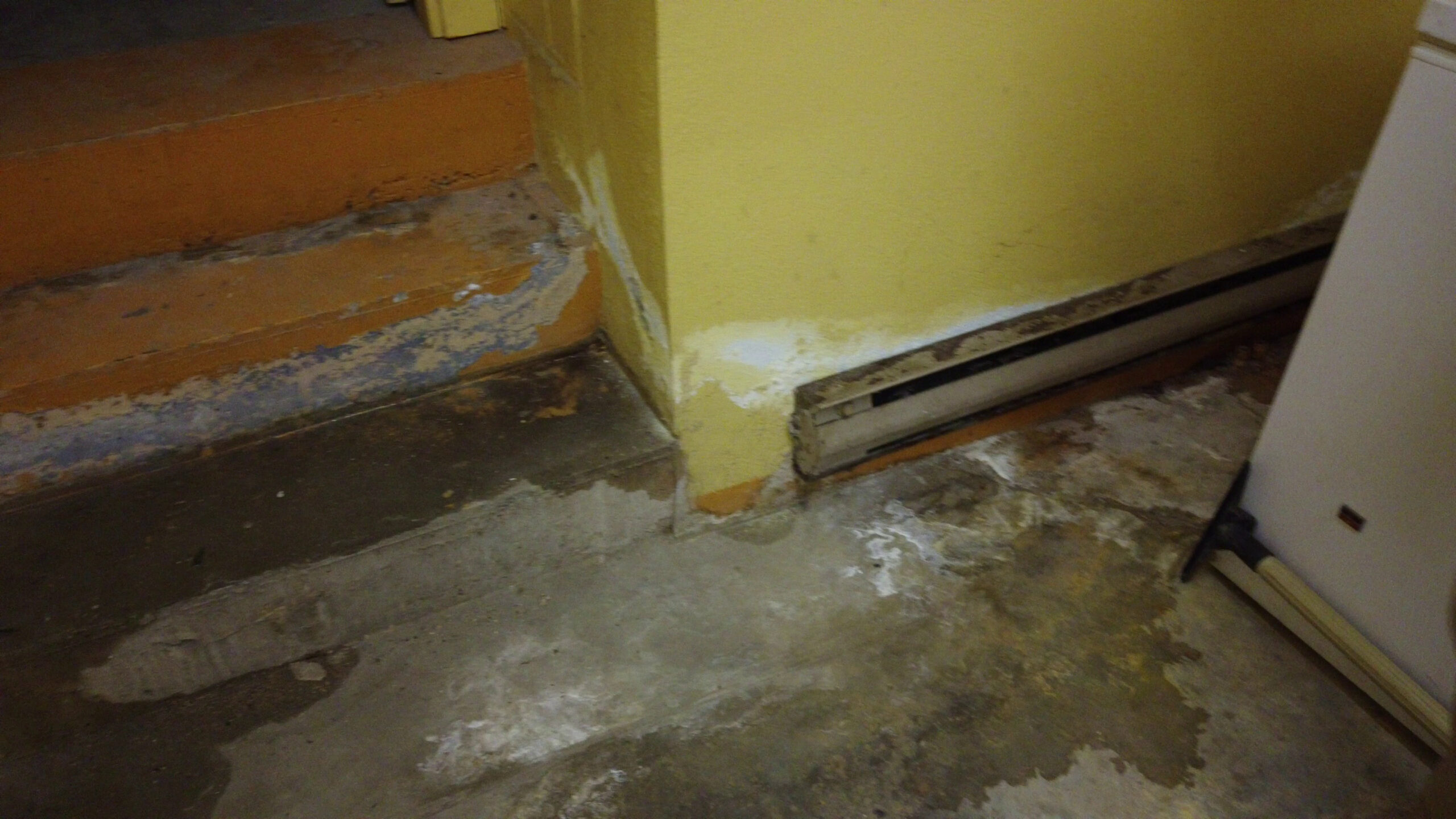 Water damage service