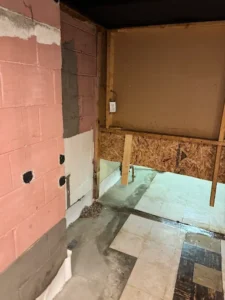 Mold in basement