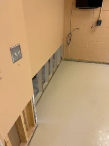 Mold remediation detroit