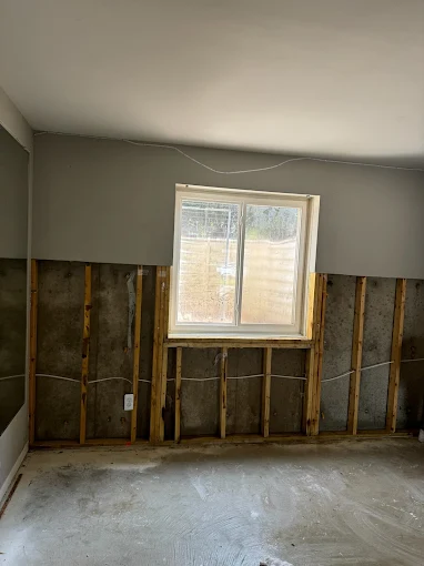 How Fast Does Mold Grow After Water Damage?