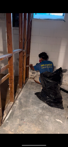 Post remediation verification service