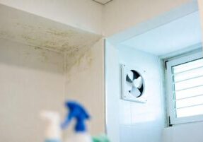 Mold Odor Removal