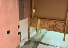 Basement Mold