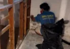Mold Testing vs Mold Inspection